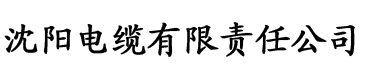 色悠久久久久综合香蕉网1电缆厂logo